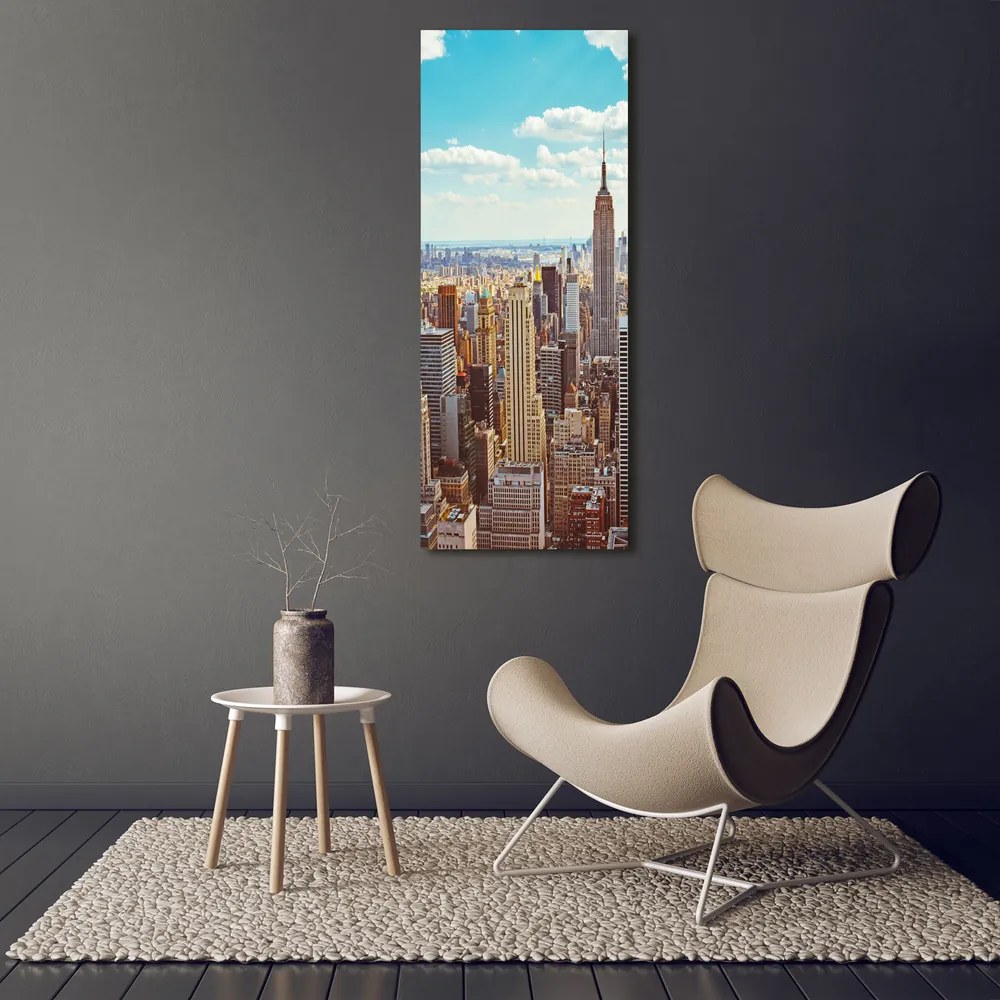 Print pe pânză New York pasăre de zbor