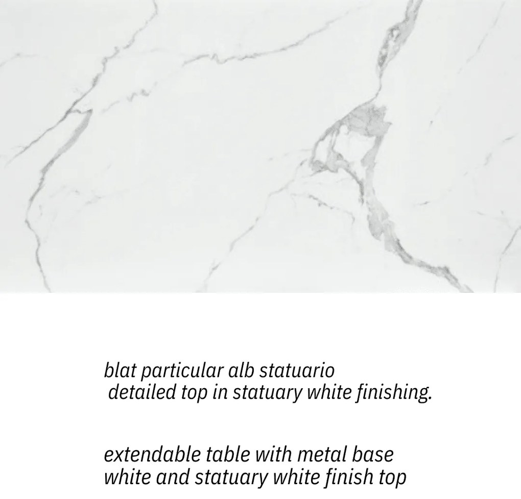 MASA BIANCO STATUARIO - STICLA CERAMICA CU  PICIOR METALIC - ALB