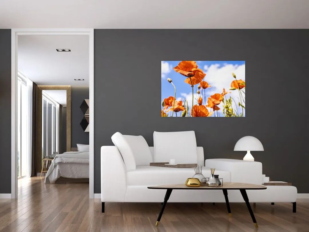 Tablou cu macii (90x60 cm)