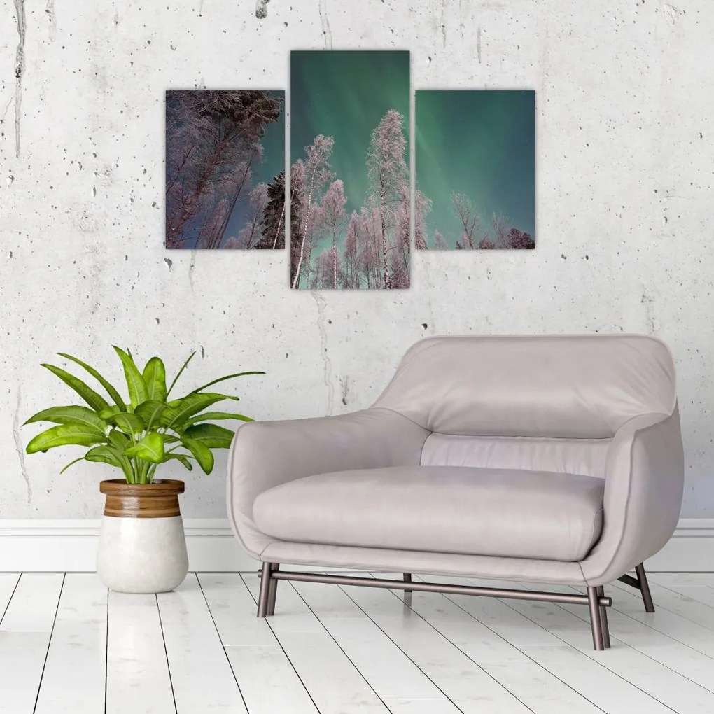 Tablou cu aurora borealis deasupra pomilor înghețați (90x60 cm)