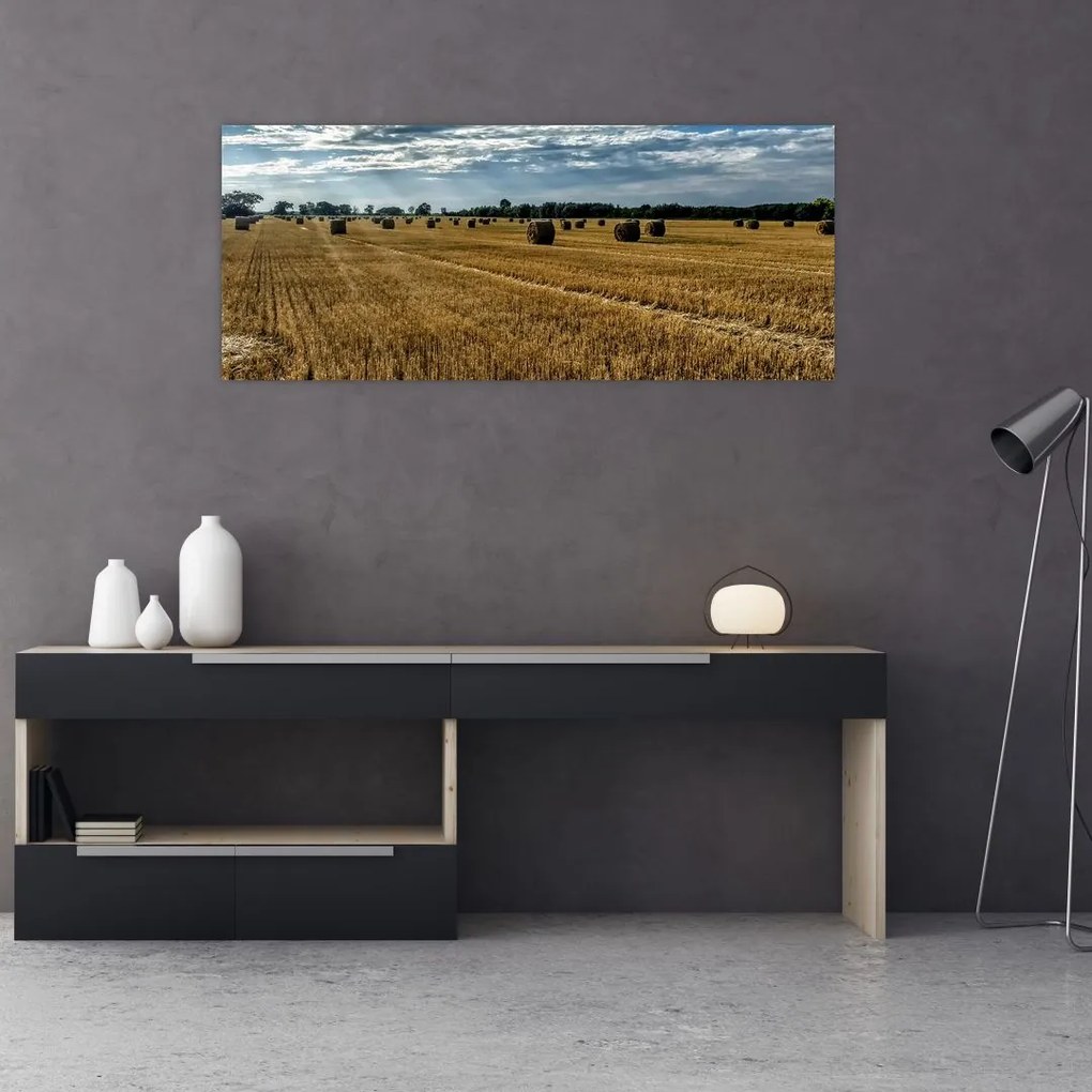 Tablou cu câmp recoltat (120x50 cm)