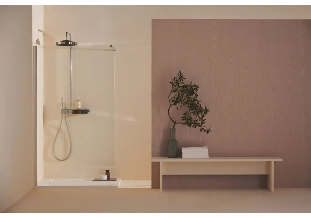 Paravan walk-in 120 cm, silver bright   sticla transparenta 1200x2000 mm