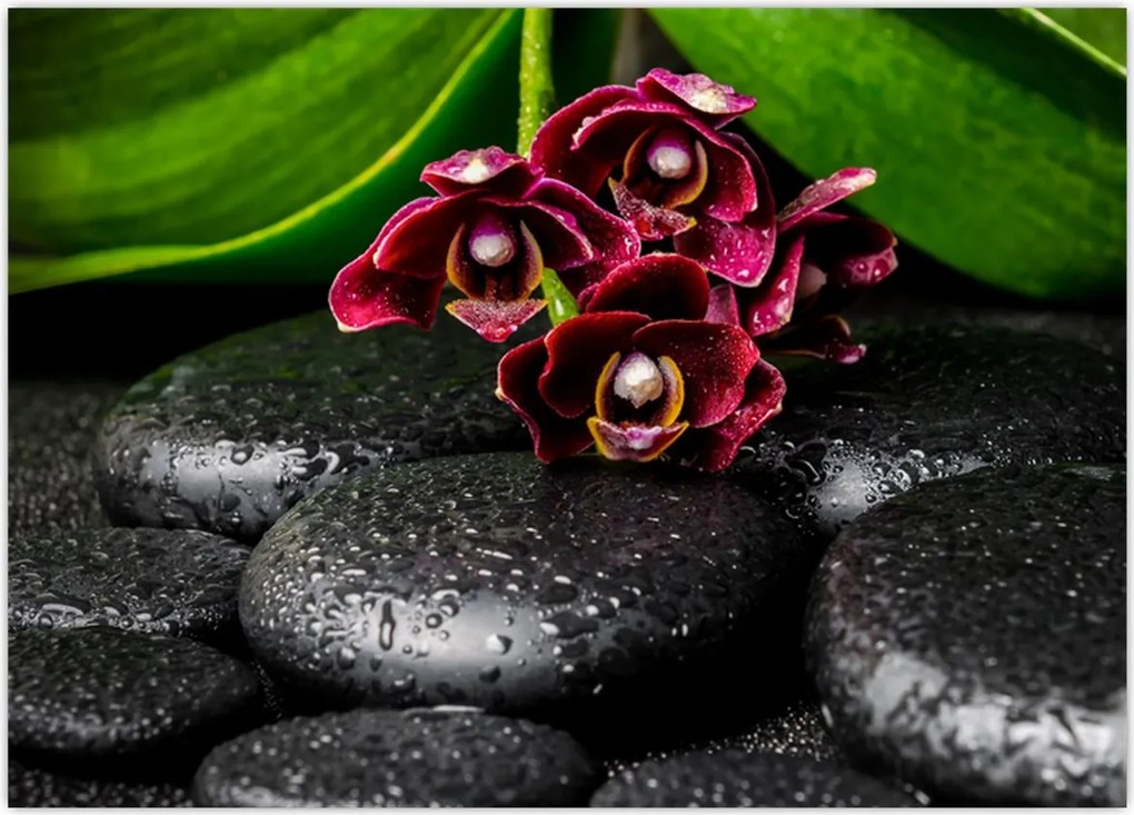 Tablou - Pietre de lavă (70x50 cm)