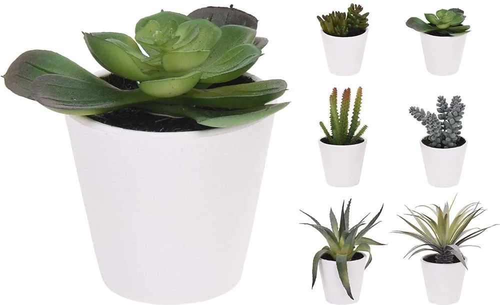 PLANTA DECOR IN GHIVECI, 15 CM, DISPONIBILA IN 6 VARIANTE