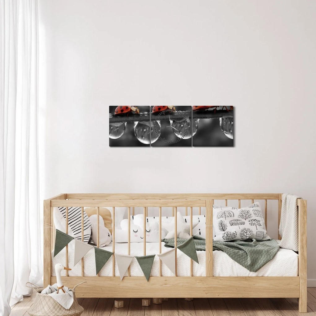 Tablou - Floarea-soarelui, alb și negru (cu ceas) (90x30 cm)
