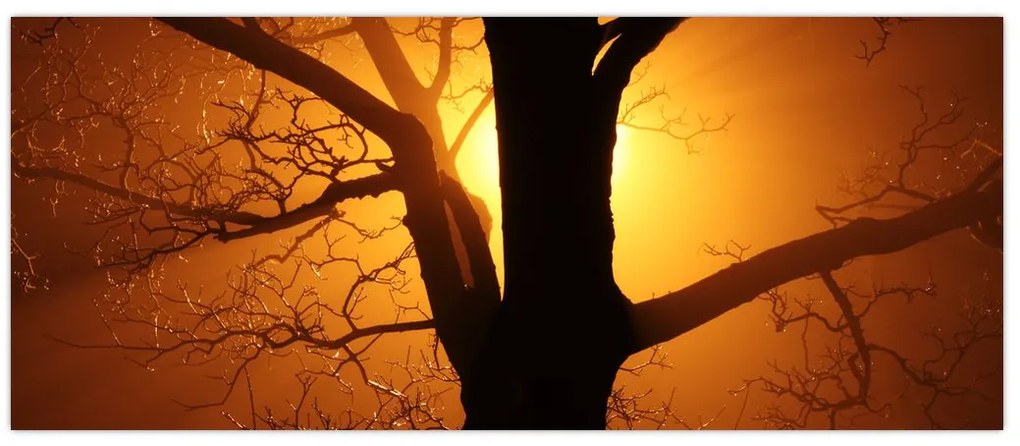 Tablou cu copac în apus de soare (120x50 cm)