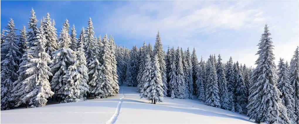 Tablou - Iarna in pădure (120x50 cm)