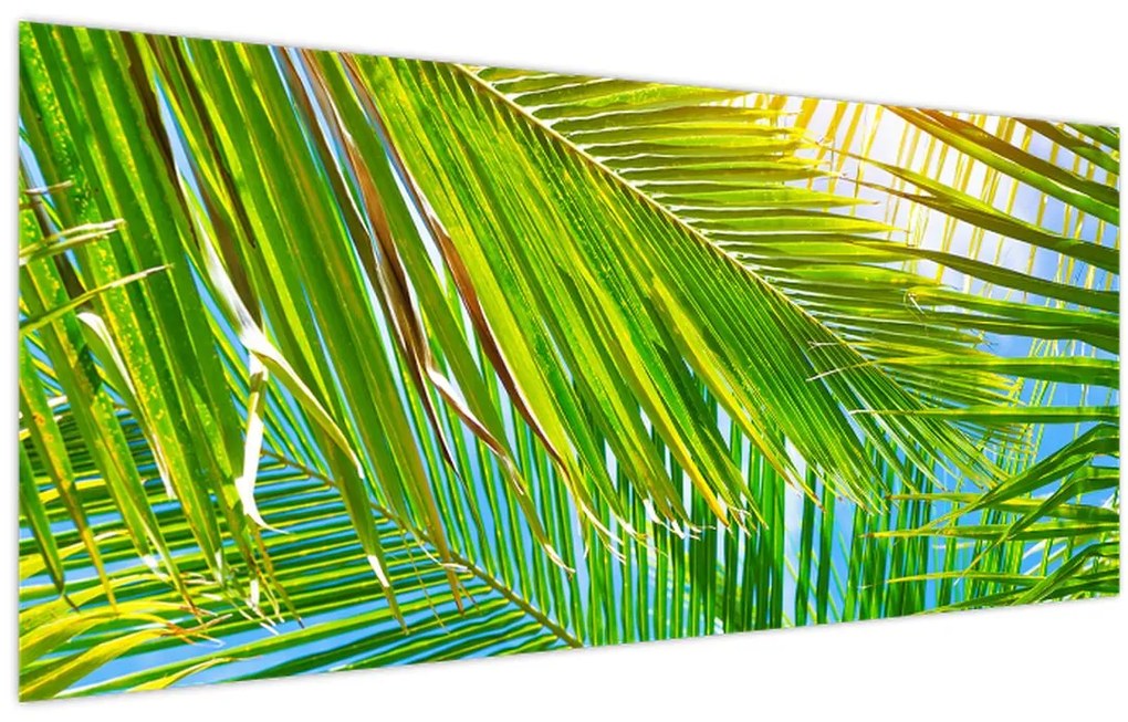 Tablou - Frunze de palmier (120x50 cm)