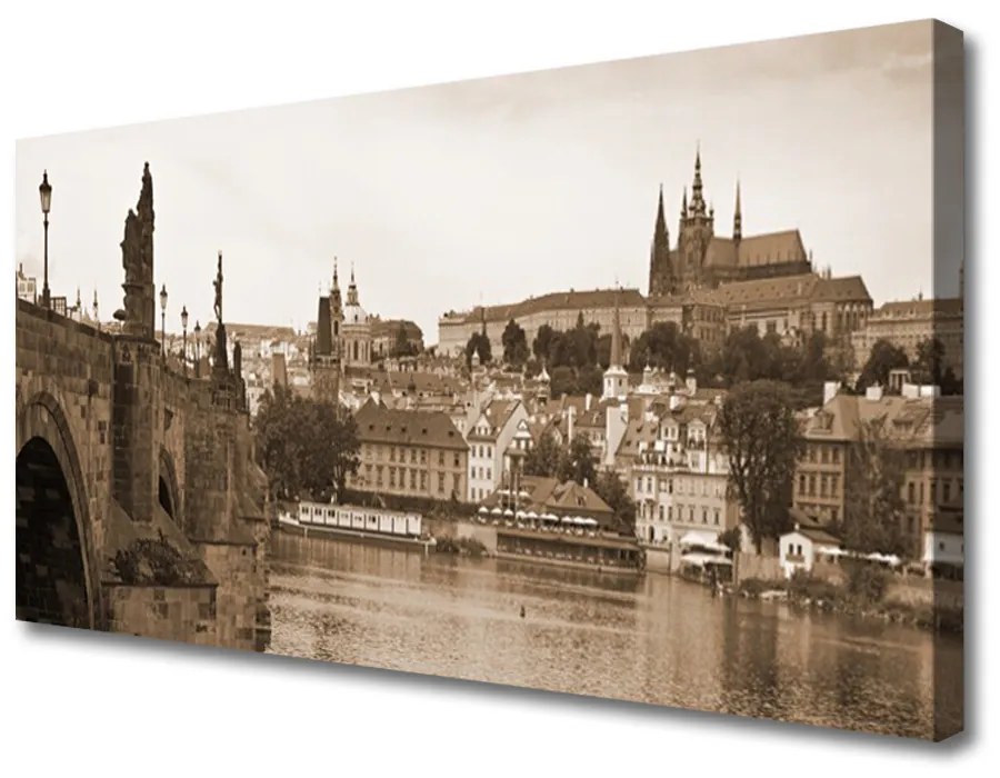 Tablou pe panza canvas Praga Podul Peisaj Sepia