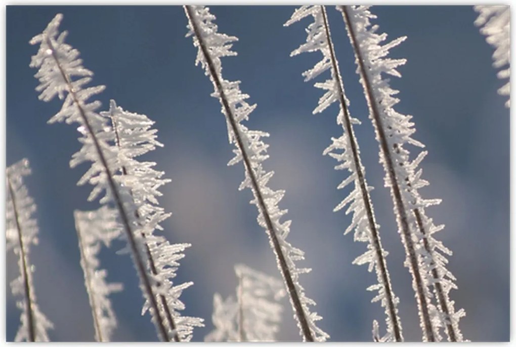 Tablou - Îngheț (90x60 cm)
