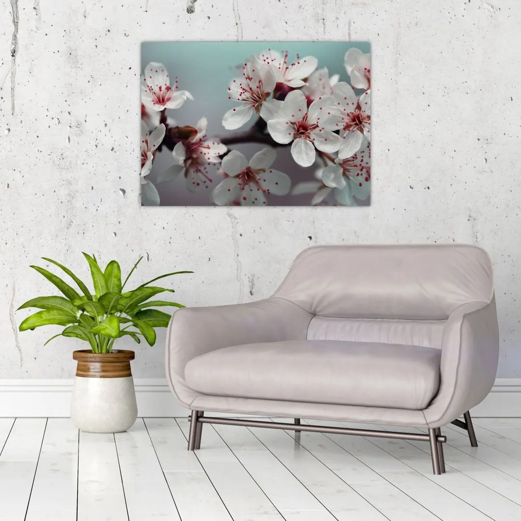 Tablou cu floare - roșie (70x50 cm)