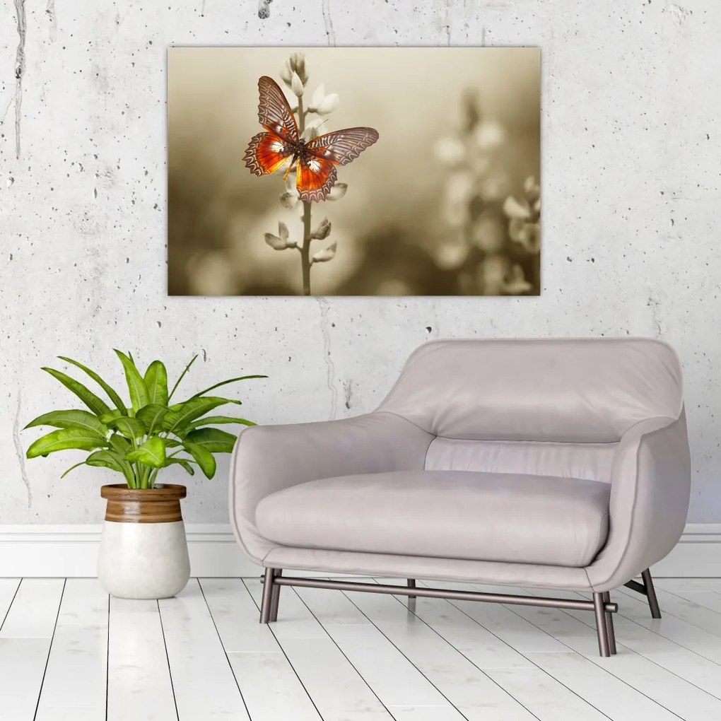 Tablou cu fluture (90x60 cm)