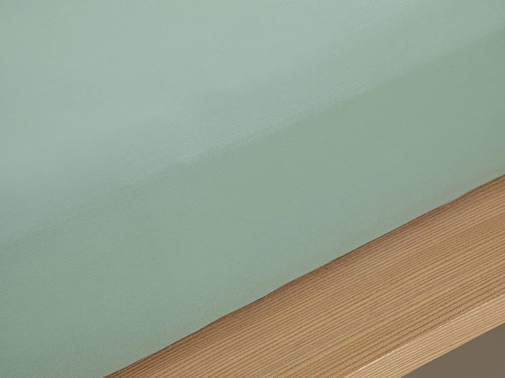 Drept Din Bumbac Pentru Două Persoane Cearșaf Elastıc 160x200 Cm Verde Porumbă