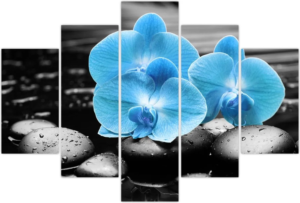Tablou - Orhidee albastră (150x105 cm)