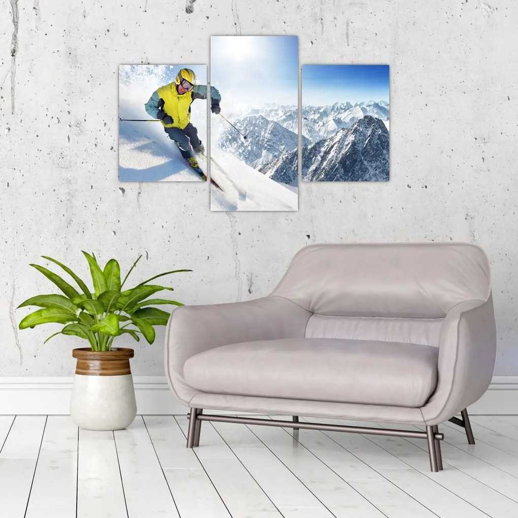 Tablou - Schior (90x60 cm)