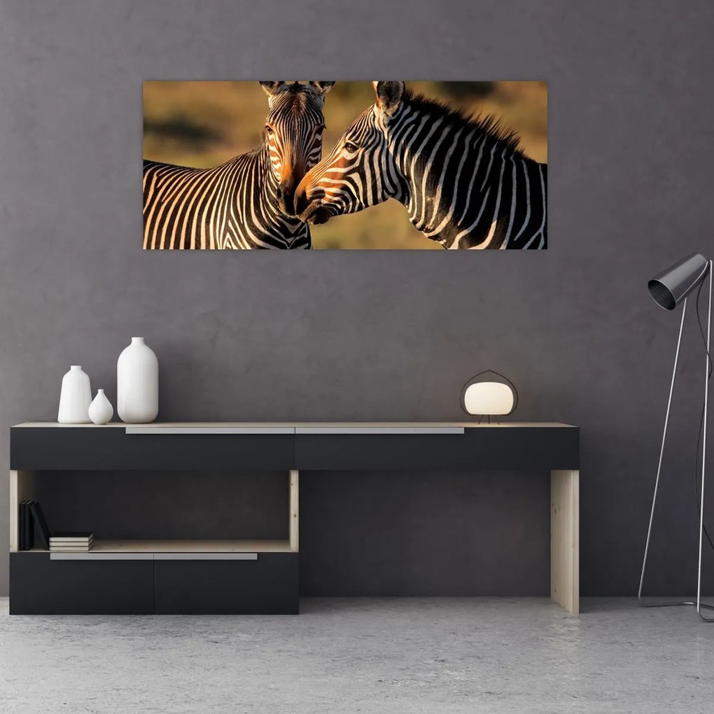 Tablou - Două zebre (120x50 cm)