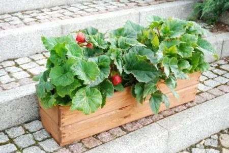 Ghiveci din lemn pentru flori 44 cm maro