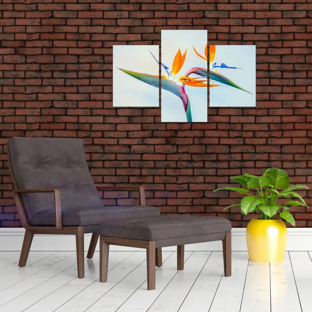 Tablou cu floarea Strelicie (90x60 cm)