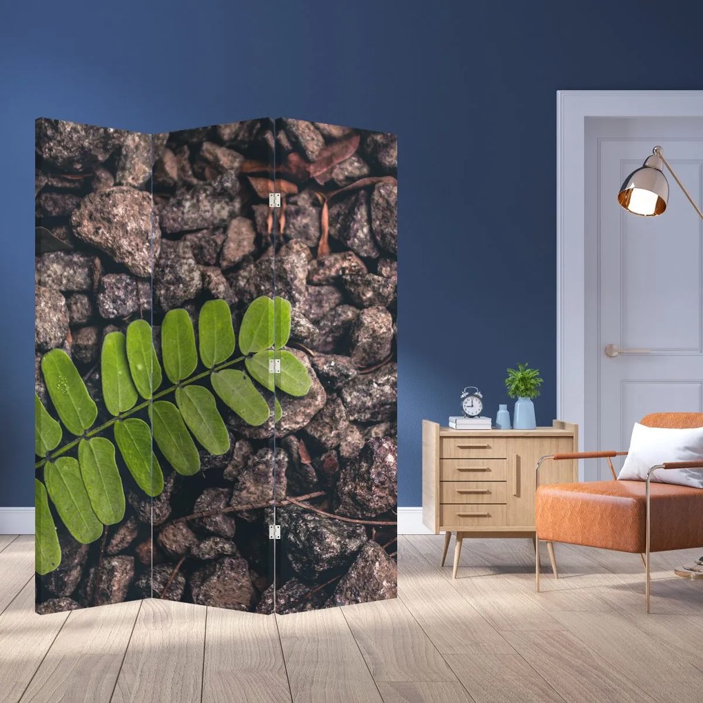 Paravan - Planta verde (126x170 cm)