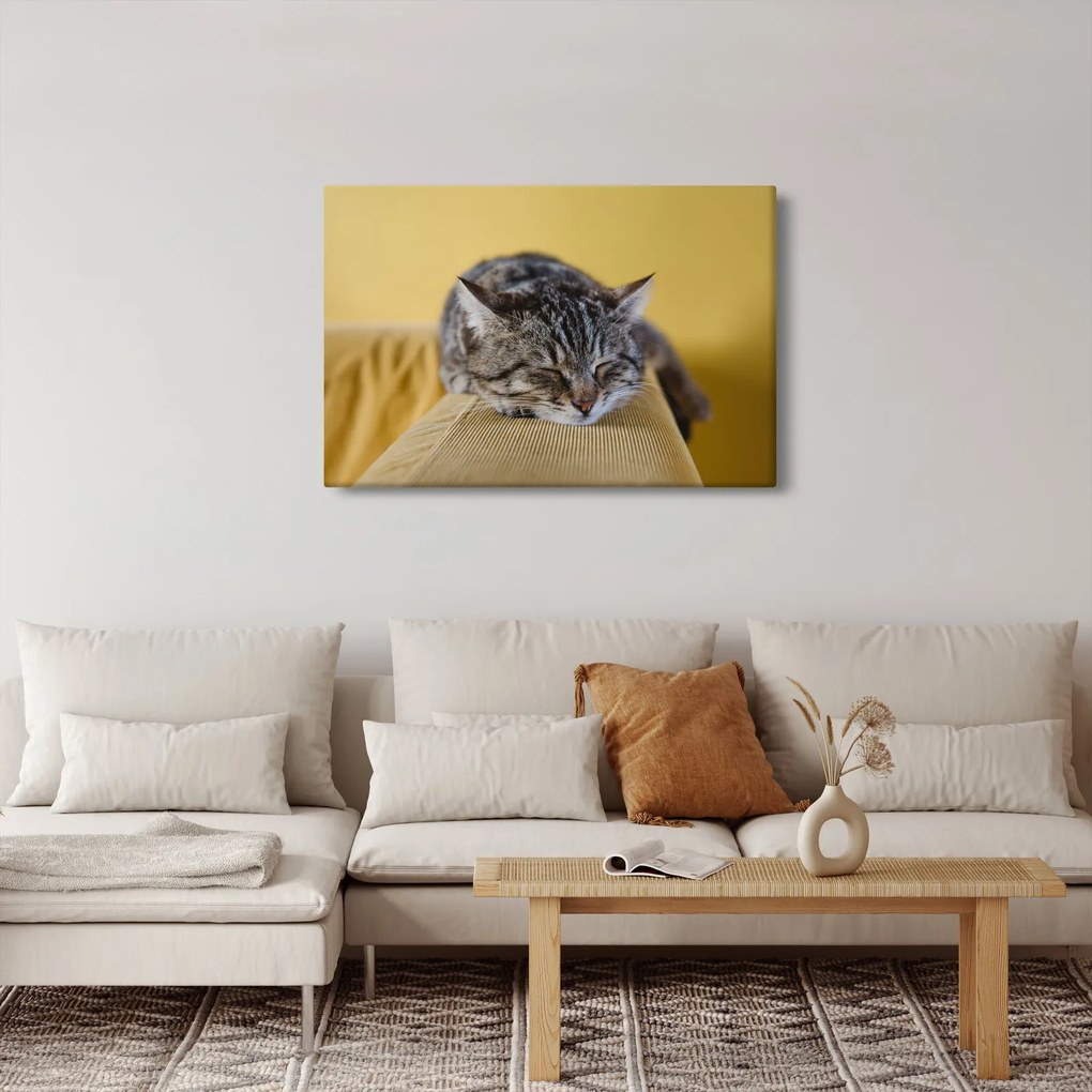 Tablou cu pisica pe fotoliu (90x60 cm)