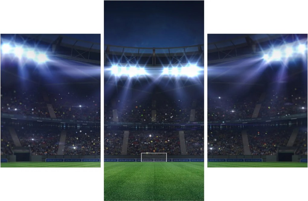 Tablou - Stadion de fotbal (90x60 cm)