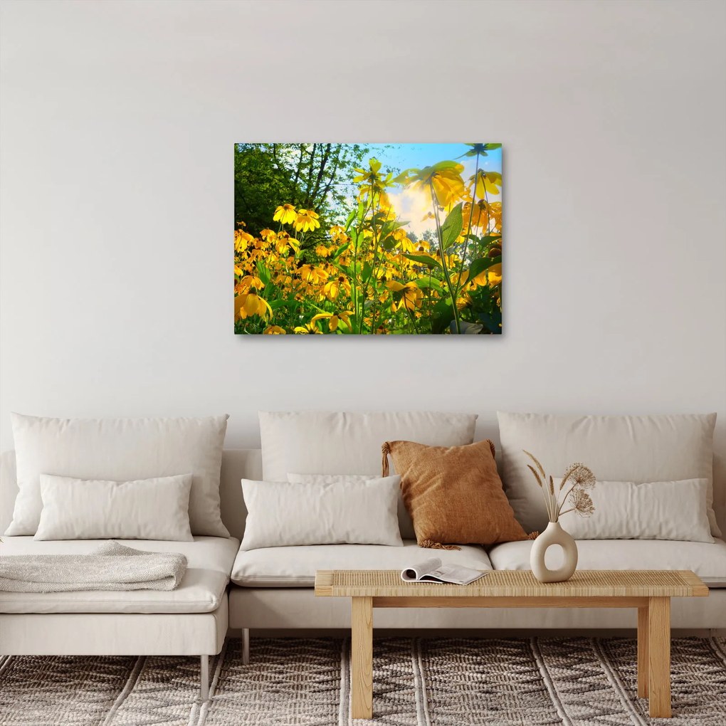 Tablou - Flori galbene (70x50 cm)