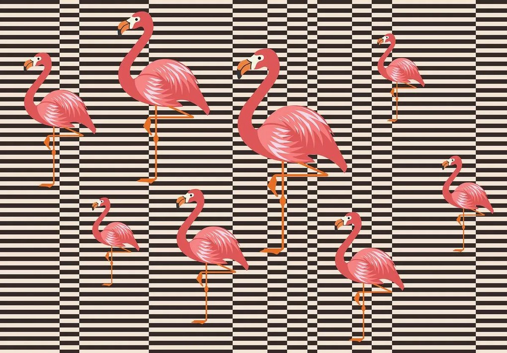 Fototapet - Flamingo (254x184 cm)