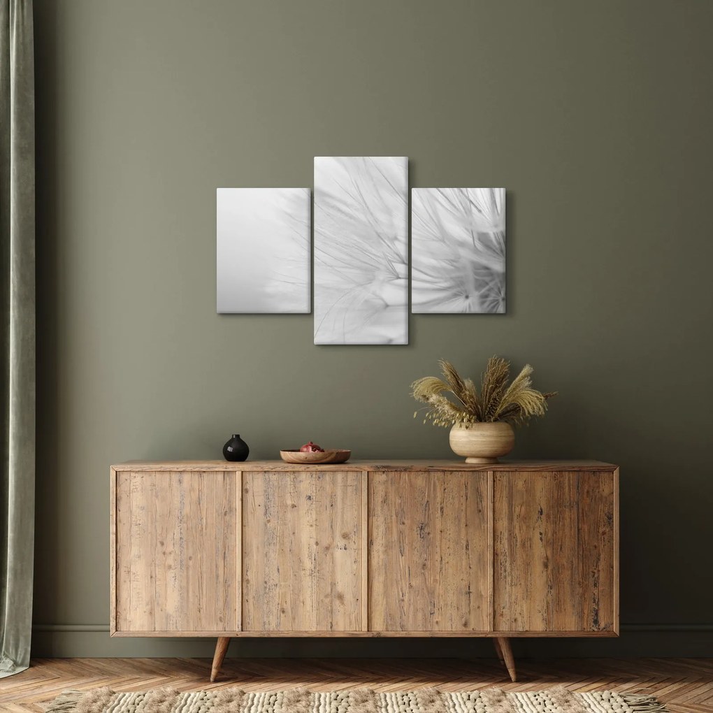 Tablou - Dandelion (90x60 cm)
