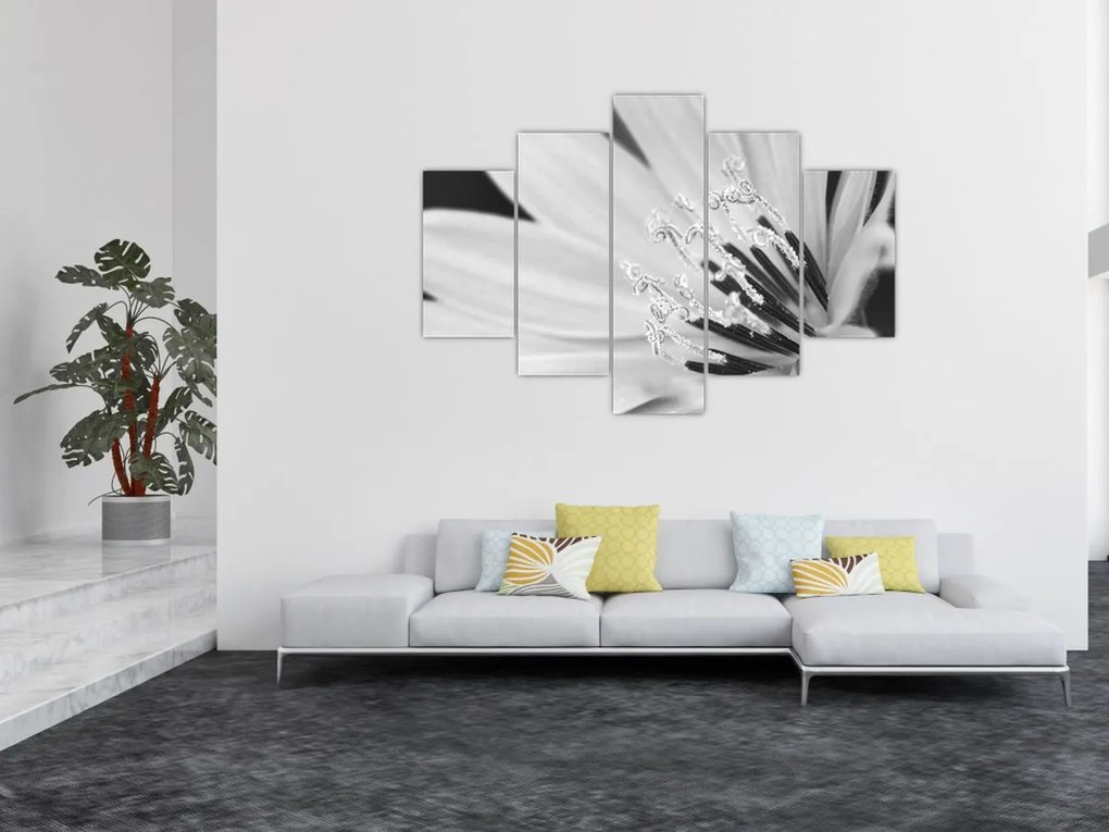 Tablou - Floare albă și neagră (150x105 cm)
