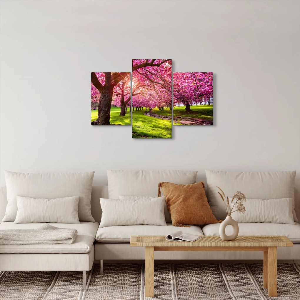 Tablou - Cireși înfloriți, Hurd Park, Dover, New Jersey (90x60 cm)