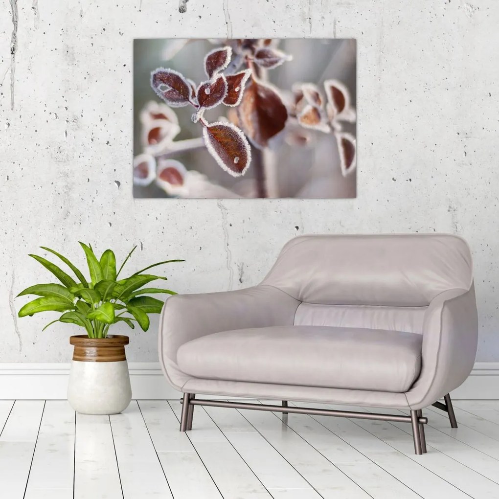 Tablou - Detaliu frunze (70x50 cm)