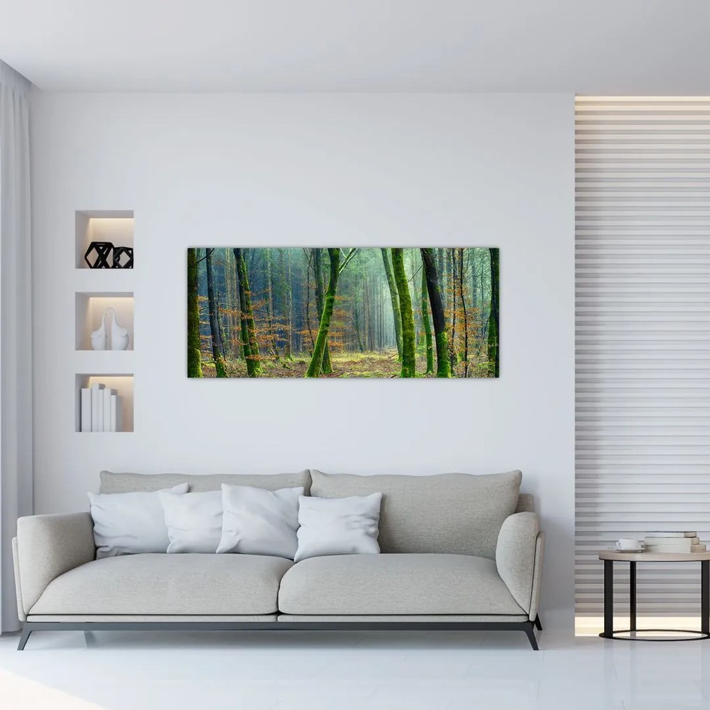 Tablou cu pădure (120x50 cm)