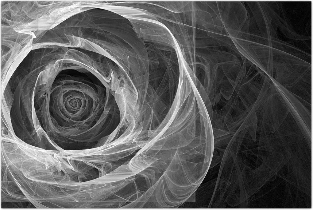 Tablou - Abstract trandafir negru și alb (90x60 cm)