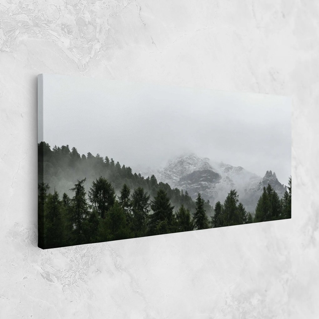 Tablou Canvas, 100x200cm, Dormitor si Living, Peisaje, Paduri, Foggy Mountain Forest
