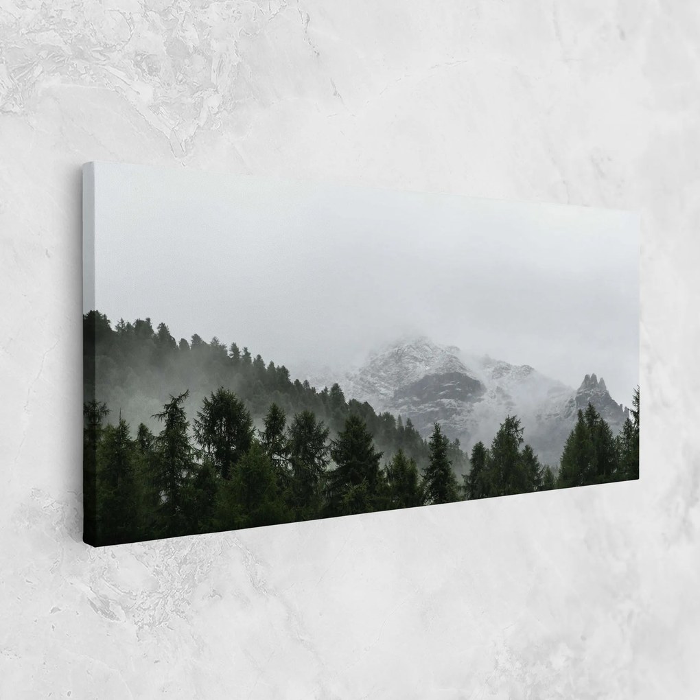 Tablou Canvas, 50x100cm, Dormitor si Living, Peisaje, Paduri, Foggy Mountain Forest