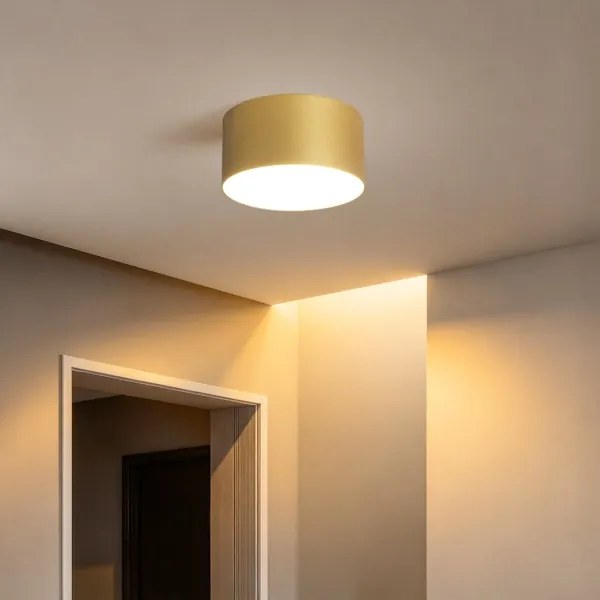 BRILAGI - Plafonieră LED pentru baie FORIS LED/14W/230V Ø 12 cm aurie IP4