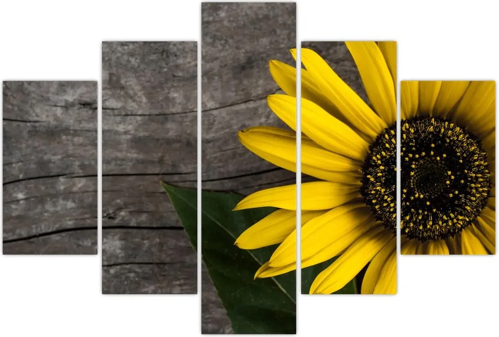 Tablou - Floare de floarea soarelui (150x105 cm)