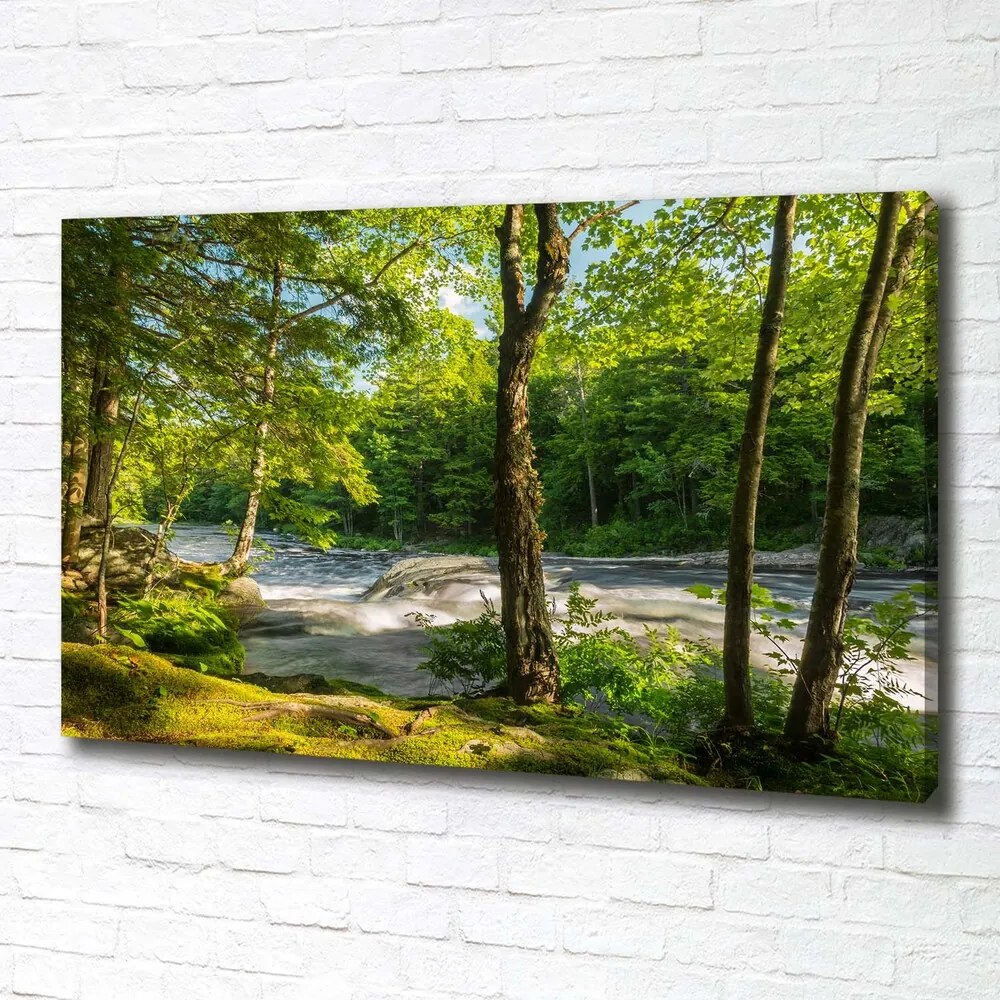Print pe canvas Râul în pădure