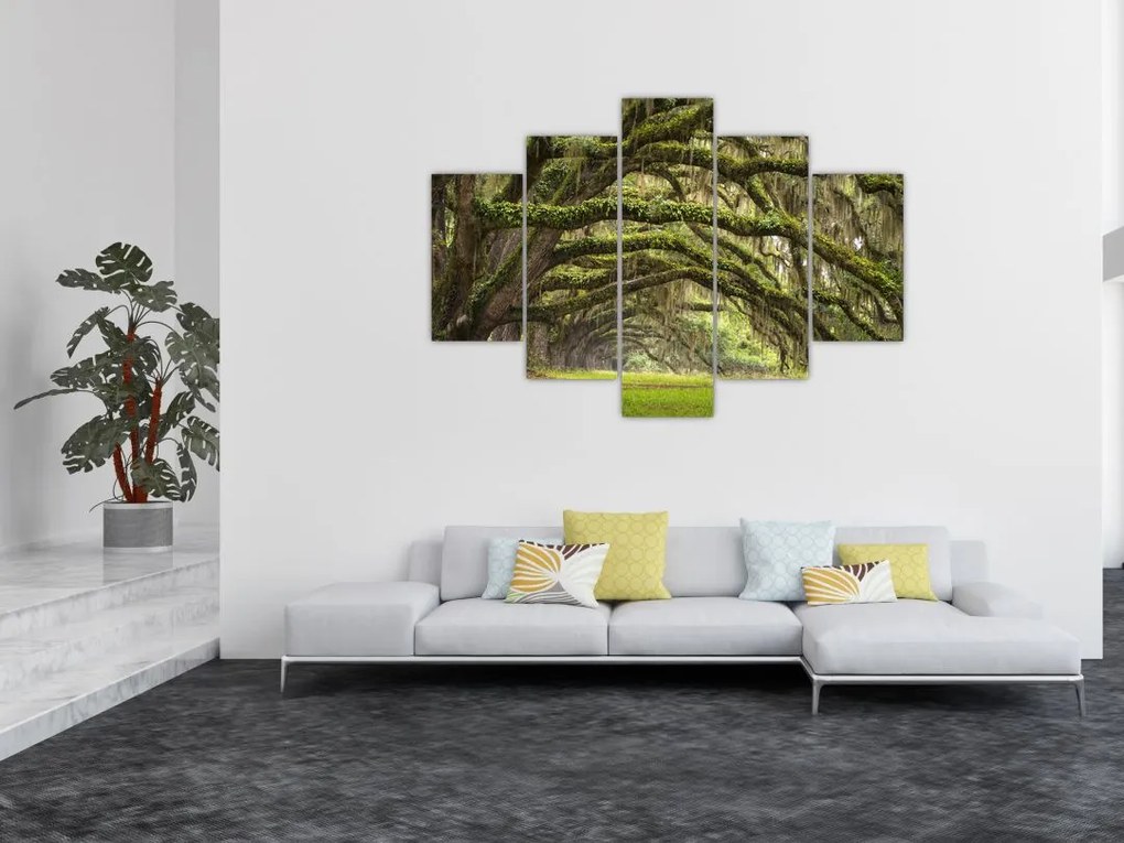 Tablou - Oaks Avenue, Charleston, Carolina de Sud, SUA (150x105 cm)