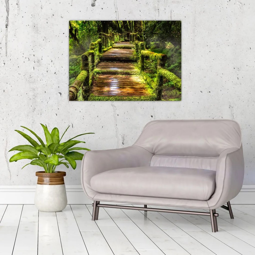 Tablou cu scări într-o pădure tropicală (70x50 cm)