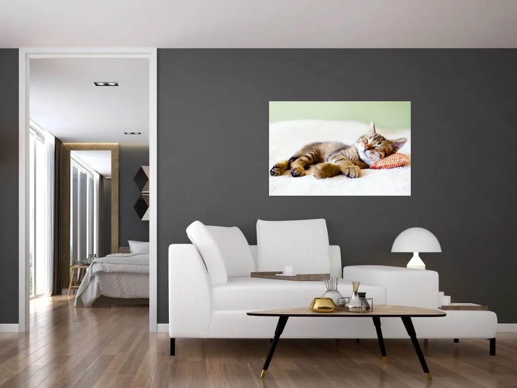 Tablou - Pisicuța adormită (90x60 cm)