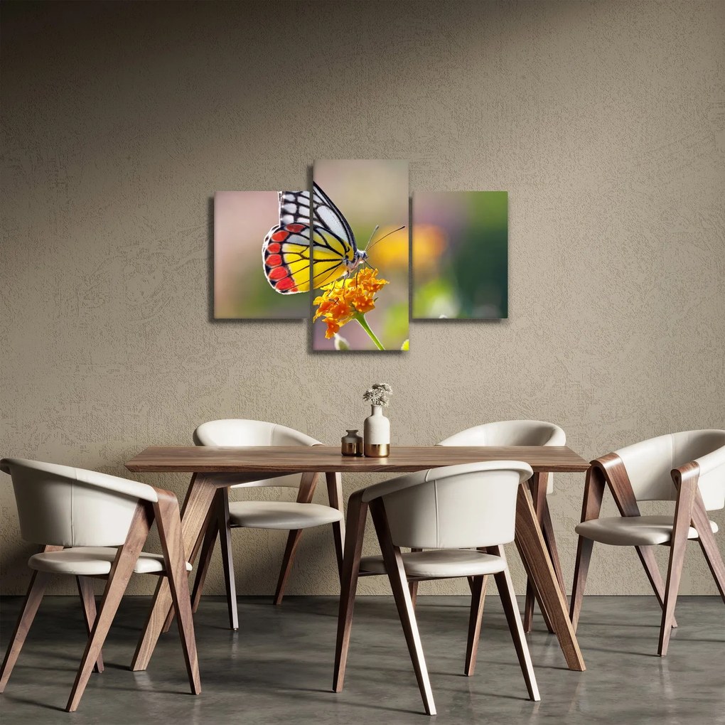 Tablou - Fluture pe floare (90x60 cm)