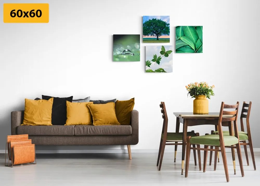 Set tablouri natura plină de verdeață