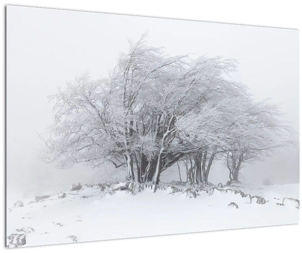 Tablou - Iarnă albă (90x60 cm)