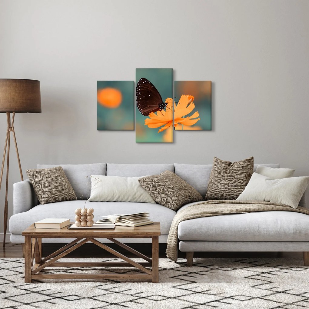 Tablou - fluture pe o floare portocalie (90x60 cm)