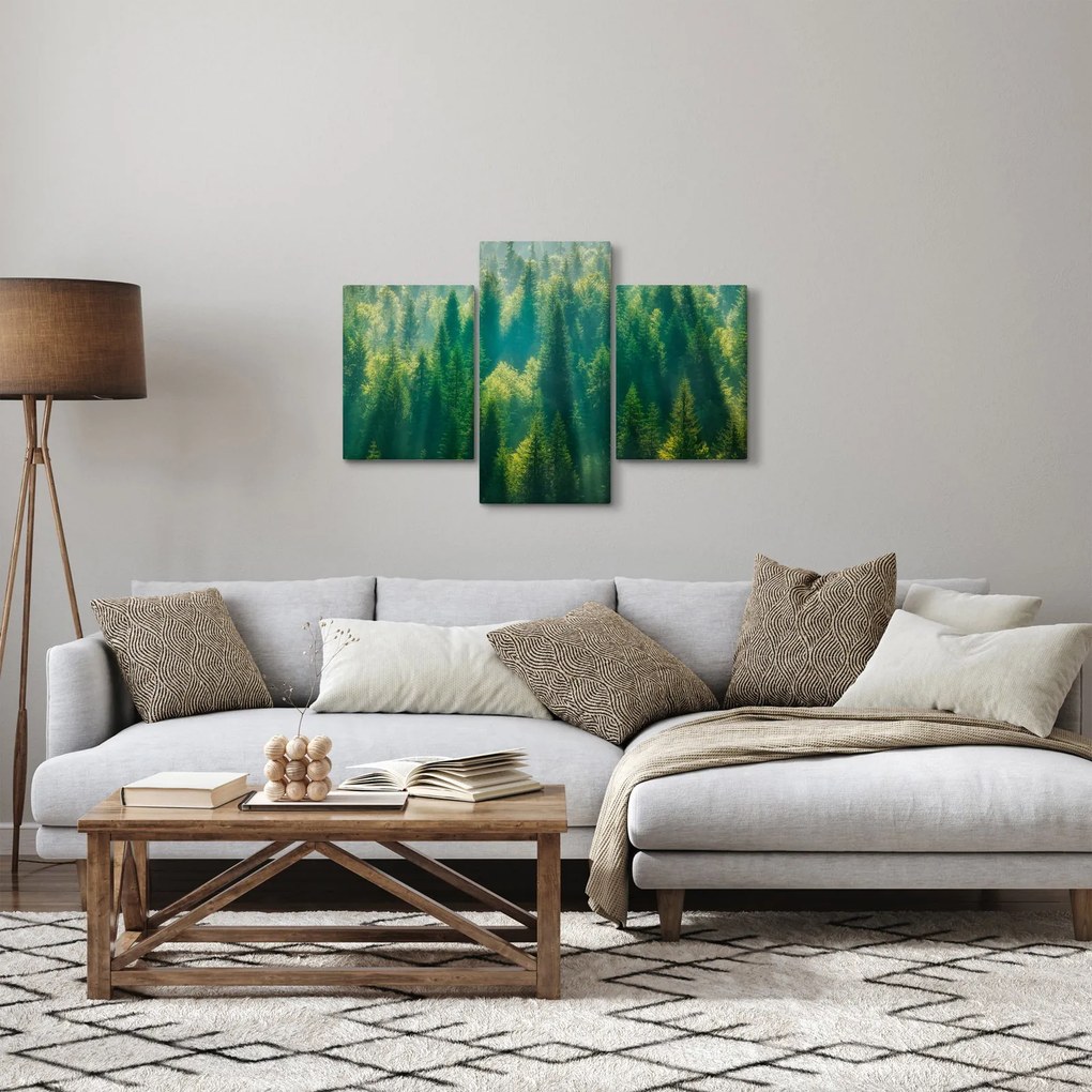 Tablou - Pădurea de brazi (90x60 cm)