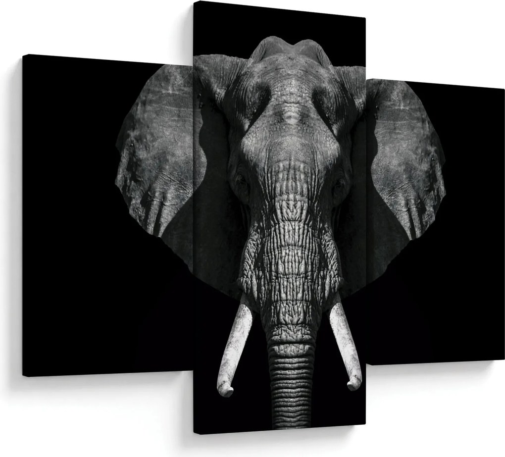 Tablou - Elefant pe fundal negru (90x60 cm)