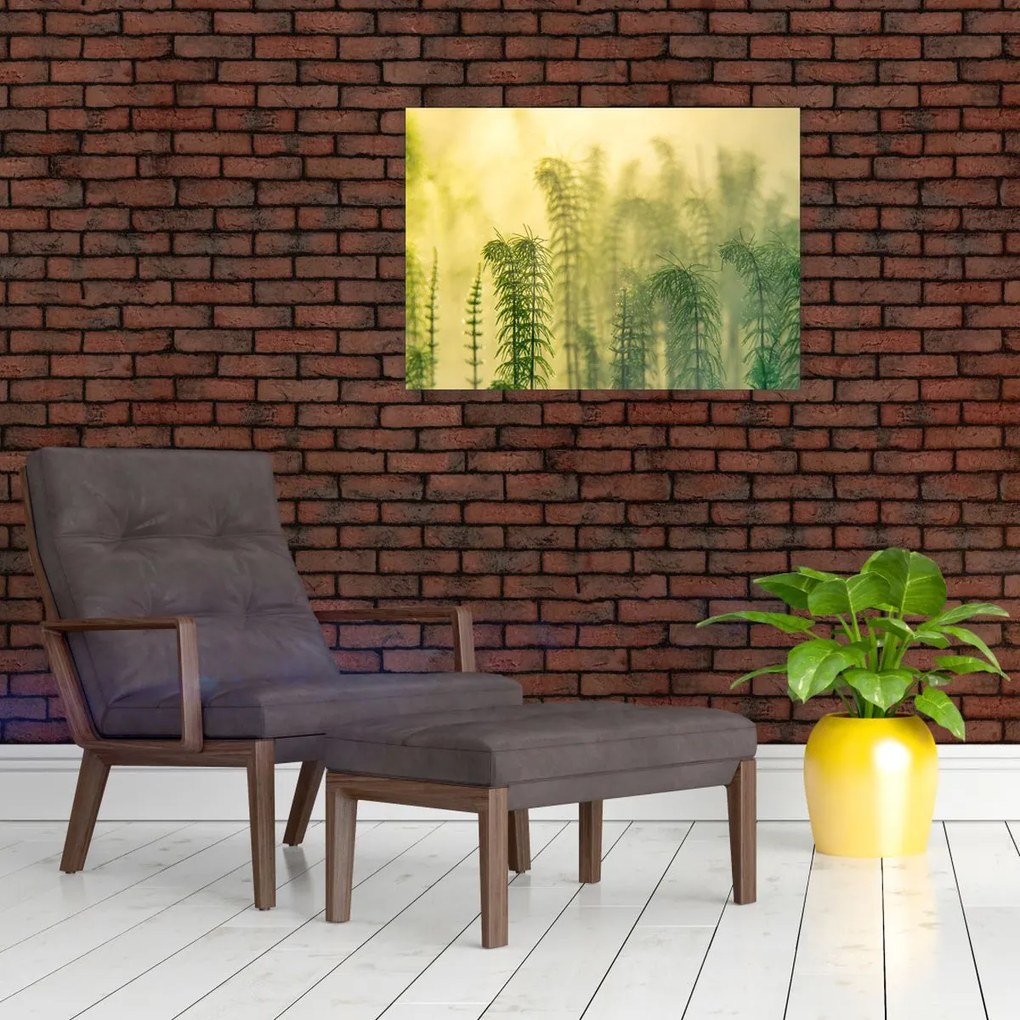 Tablou pe sticlă - Detaliu de primăvară natura cețoasă (70x50 cm)