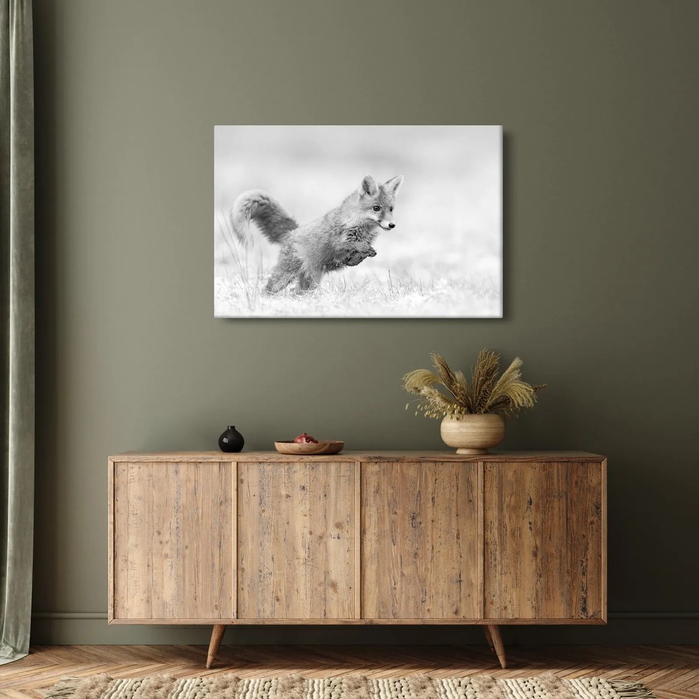 Tablou - Vulpe care sare,alb-negru (90x60 cm)