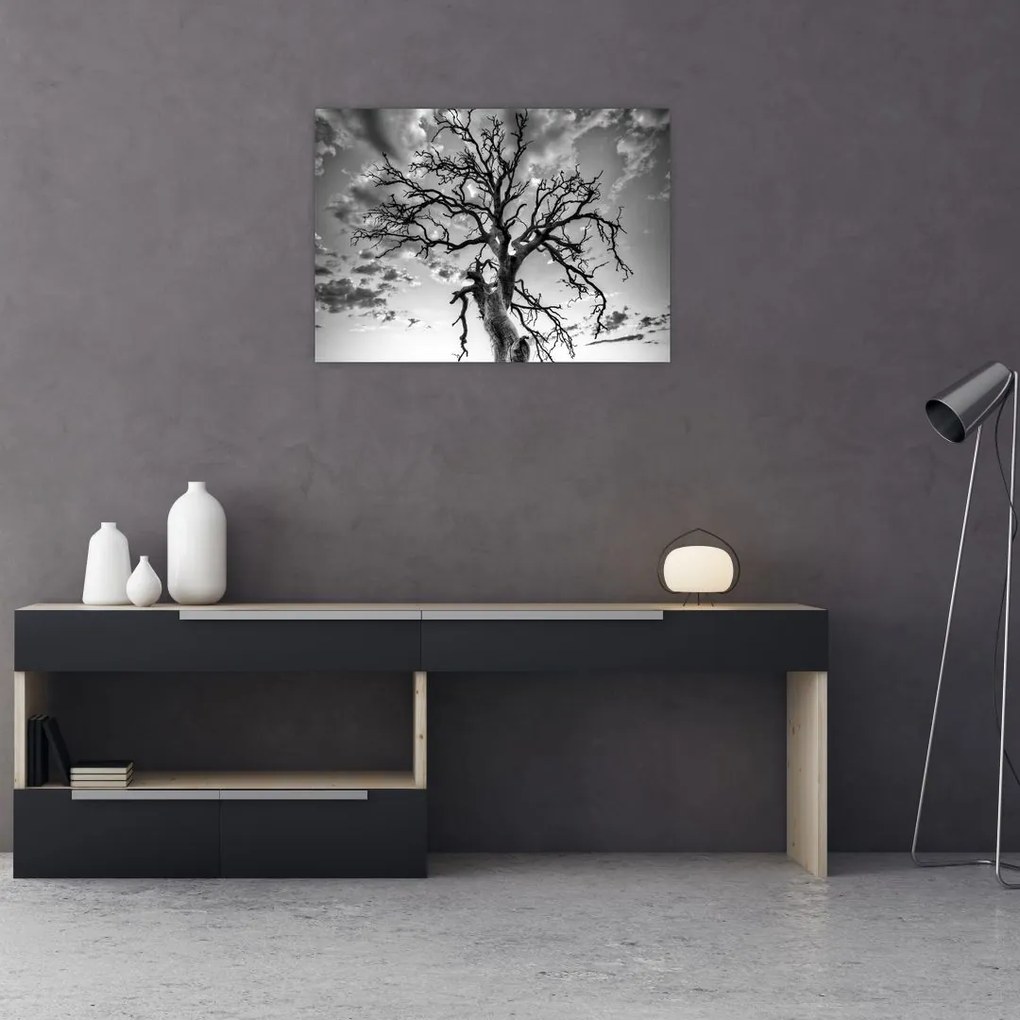 Tablou pe sticlă - Copacul, alb-negru (70x50 cm)